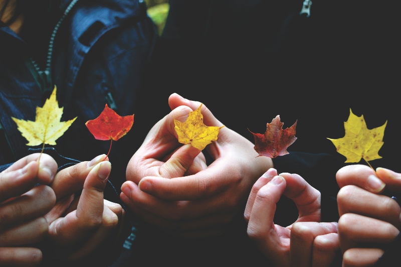 Hands of four people holding up leaves of different colouirs