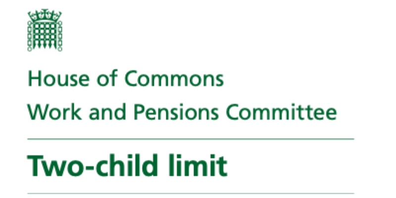 Screenshot of Two-Child Limit bill, stating House of Commons (and its crest) and Work and Pensions Committee