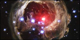 Stars-260x130 - MTAG