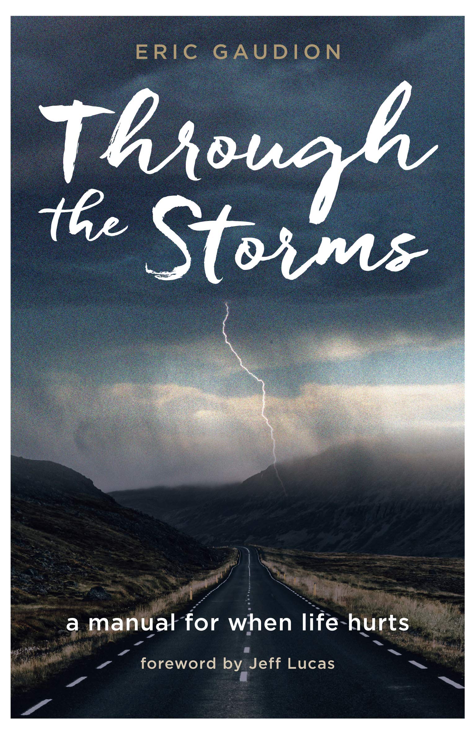 Eric Gaudion Through the Storm