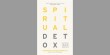Spiritual Detox by Howard Satterthwaite