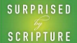 Surprised by Scripture By Tom Wright 