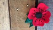 Remembrance reflections in BSL
