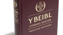 New Welsh language missional community