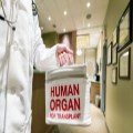 New JPIT resource on organ donation