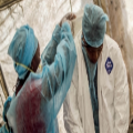 Baptists educate about Ebola 