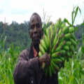 Farming God’s way in Mozambique