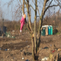 'Protect vulnerable children in Calais'